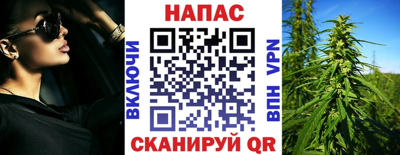 Каннабис планчик Липки